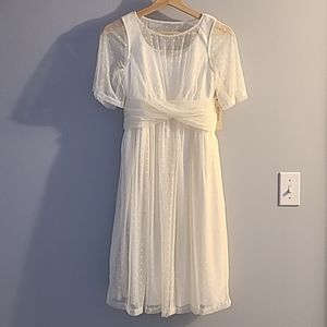 Kiyonna Tea Length Mesh Dress